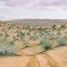 Фото профиля ابن الريب