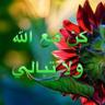 Profilbild von Fatima Moussawi