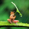Фото профиля Gualterio Velasco