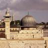 Dr. Wa'el Sa'di's profile picture