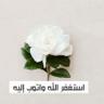 ايمان 的头像