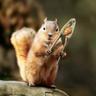 オクラさん profil fotoğrafı