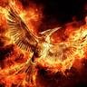 Dark Phoenix✵🐦🔥 profil fotoğrafı