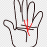 taku's profile picture