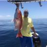 Jeff Kirkland's profile picture