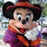 ねぎPONPOM's profile picture