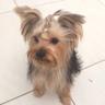 Mila profil fotoğrafı