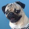 Фото профиля 123456