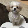 じま's profile picture