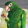 Iguaca PR profil fotoğrafı