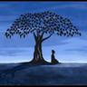 Siddhartha profil fotoğrafı