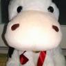 Profilbild von せっきー
