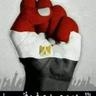 Hassnaa's profile picture