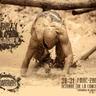 Le Run Warrior 的头像