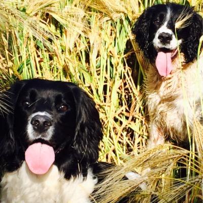 Neil Fairbrother's profile picture