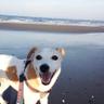 miwa🐾99%は我々だ！ profil fotoğrafı