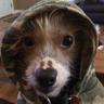 Flannel_Computing's profile picture