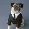 Agente Frank 的头像