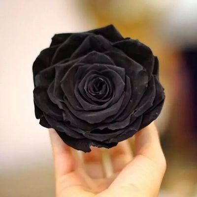 Nooona1399's profile picture