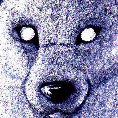 Tony Crynight's profile picture