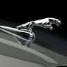 Jaguar... profil fotoğrafı