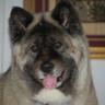 Profilbild von Deborah Hostetter