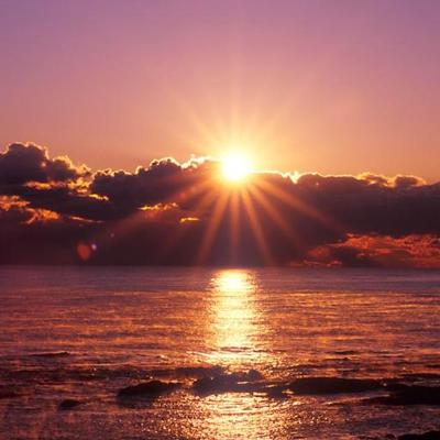 saba2465's profile picture