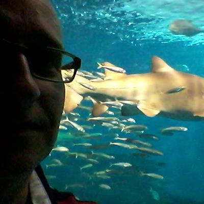 MeteoCádiz's profile picture