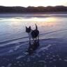 Фото профиля CATHERINE TILLY