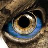 Sinan Bozoklu's profile picture
