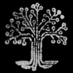 patricio gonzalez vivo's profile picture