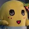 あんじ－☆(ペカっこ♪) profil fotoğrafı
