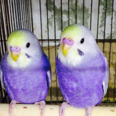 bicyoen's profile picture