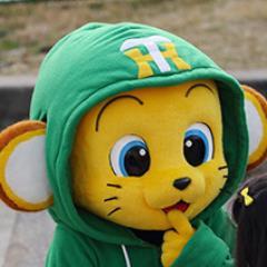 toratoharuka1's profile picture