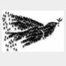 ebru tire's profile picture