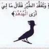 Profilbild von ali_alwasim