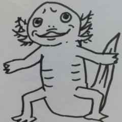 関口かんこ's profile picture