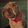 Rick Armstrong's profile picture