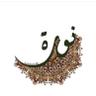 نورة البكيلي 的头像