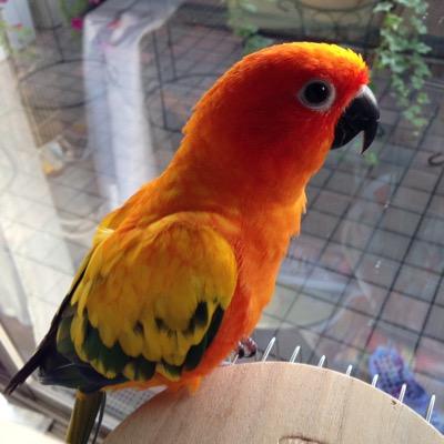 たまっち's profile picture