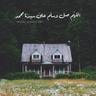 فاطمة 的头像