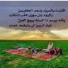 الحُــلم 的头像