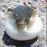 けん profil fotoğrafı