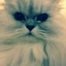 Profilbild von Gwen