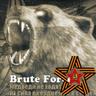 Brute Force 的头像