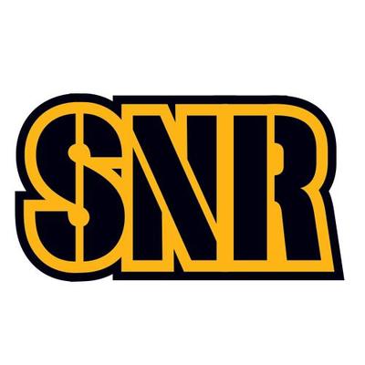 SteelersNRadio's profile picture
