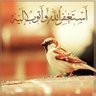 ابوعبدالله 的头像