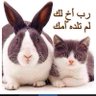ابوخالد's profile picture