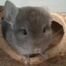 piotr j | Dart Racer's profile picture