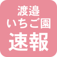 watanabeichigo's profile picture